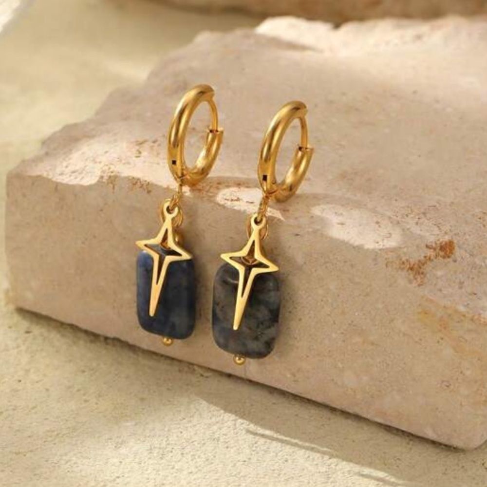 Statement hoop earrings N528